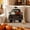 Multicolor160, variant on Pandiboks 18x18in Decorative Pillow Covers Halloween Couch Pillow Covers Multicolor Square Linen Fall Car for Living Room、Entryway