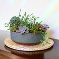 thumbnail image 3 of The HC Companies Capri Bowl Succulent Pot, Faux Concrete Copper (20 Pack), 3 of 7