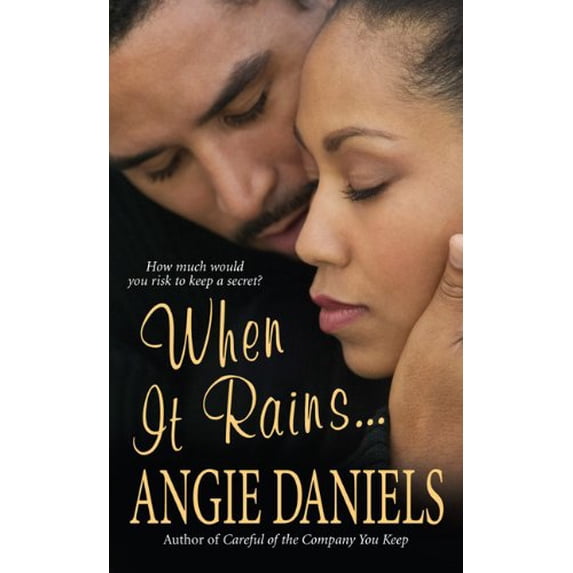 Pre-Owned When It Rains... (Mass Market Paperback) 0758207425 9780758207425