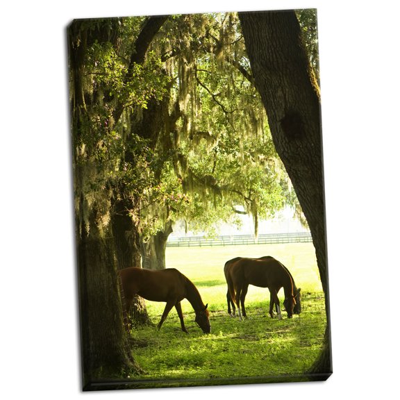 Gango Home Decor Horses in the Sunrise 6 by Alan Hausenflock (Ready to Hang); One 24x36in Hand-Stretched Canvas