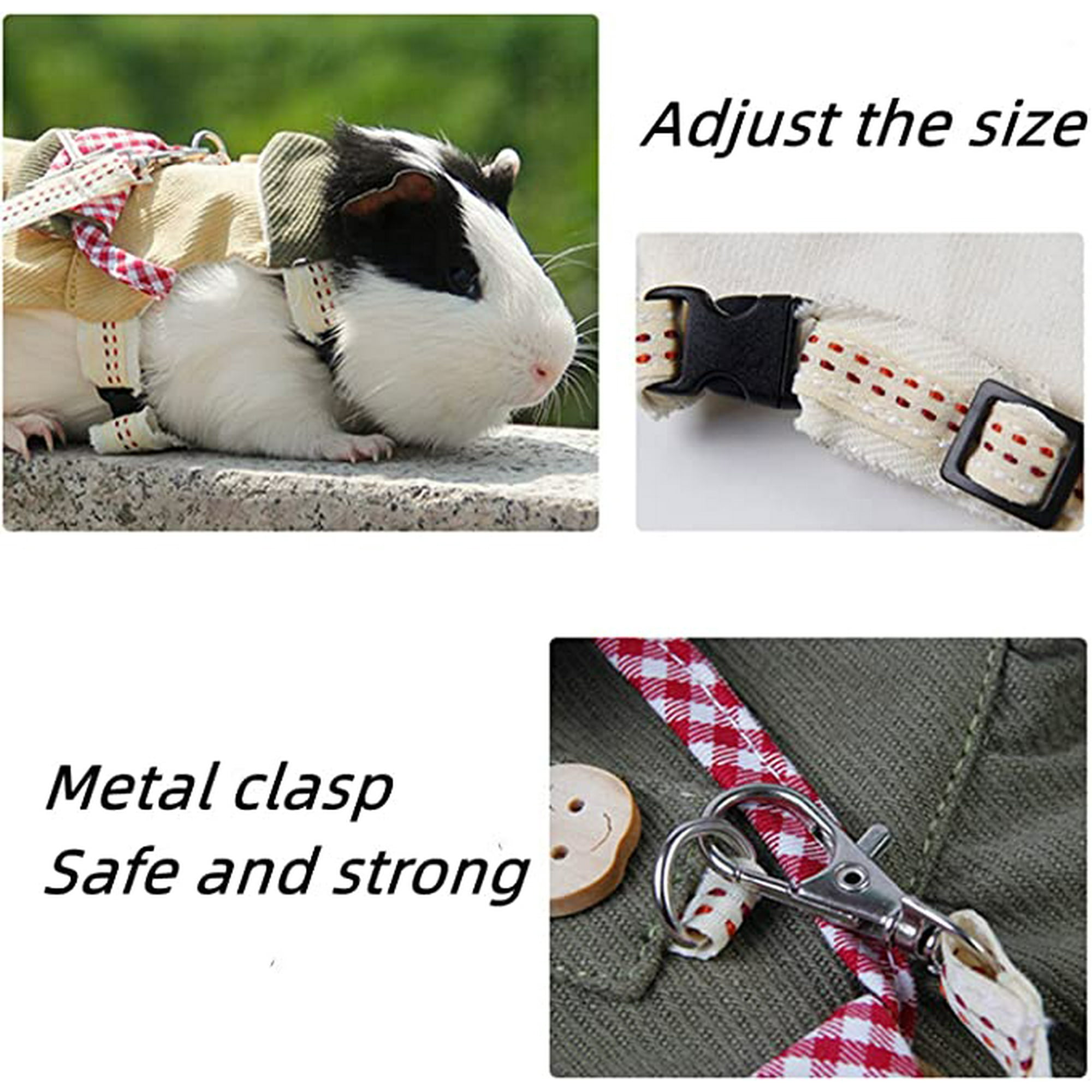 Guinea pig collar and leash best sale