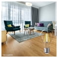 thumbnail image 2 of Foco Led Filamento A19 6W Luz Blanca, 2 of 4
