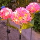 thumbnail image 4 of Luces solares para jardín al aire libre, luz solar decorativa para jardín, fiesta, pasarela, patio, boda, luz solar, 4 of 8