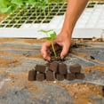 thumbnail image 3 of Minkissy 10Pcs Mushroom Growing Kit with Rapid Breeding Dark Brown Peat Matrix Block for Home Planting, 3 of 4