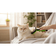 thumbnail image 4 of Qianruida Dog Brush Cat Brush for Shedding and Grooming, Self-Cleaning Pet Brush for Long or Short-Haired Cats and Dogs, Green, 4 of 9