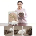 thumbnail image 4 of Realistic Lifelike Guinea Pig Plush Toy - Super Soft Stuffed Animal for Kids, Cuddle Buddy & Bedtime Companion, Cute Room Decor Gift,Brown, 4 of 4