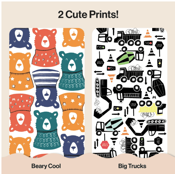 Beary Cool + Big Trucks