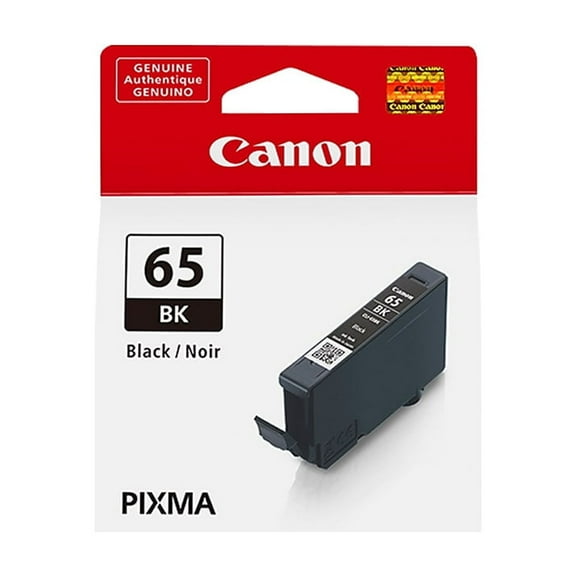 Canon 65 BK Black Standard Yield Ink Cartridge (4215C002)