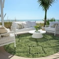 thumbnail image 6 of Addison Rugs Chantille Indoor/Outdoor Transitional Floral Olive Washable Round Rug, 8' x 8', 6 of 6