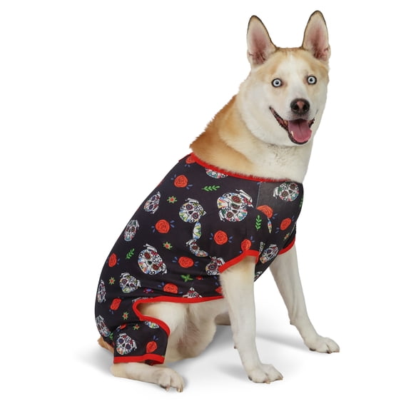 Vibrant Life Halloween Pajamas for Dogs, Day of the Dead, Multicolor, L