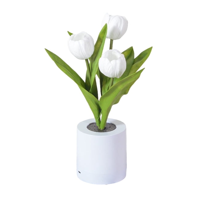 Bewildely Compatible con múltiples dispositivos La lámpara ayuda en el hogar Regalo elegante para cualquier ocasión Lámpara de flores Type3 NO3