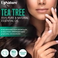 thumbnail image 2 of Rollo de aceite esencial de árbol de té UpNature, 100% natural, 10 ml, 2 of 7