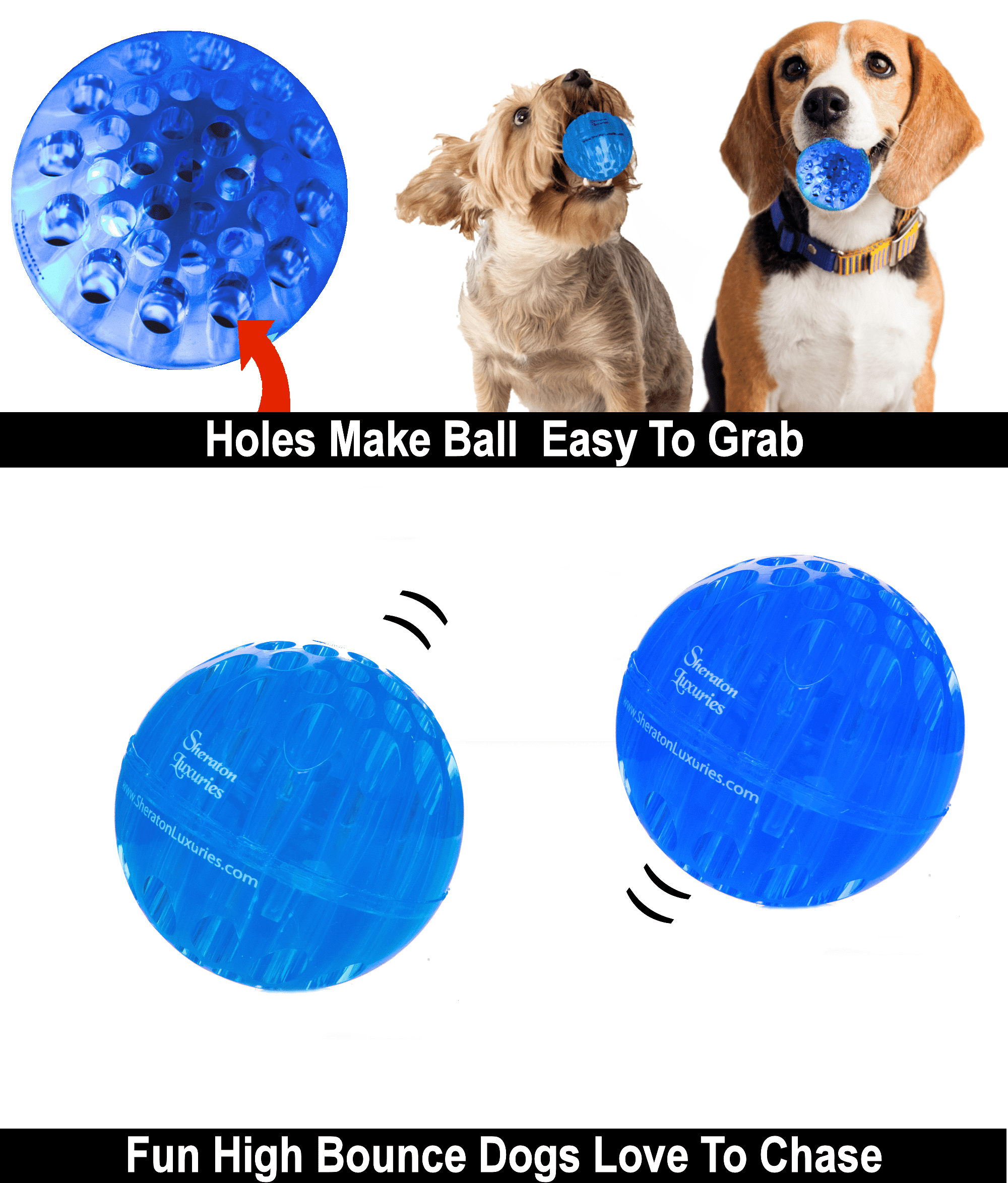 Why Do Dogs Love Balls So Much