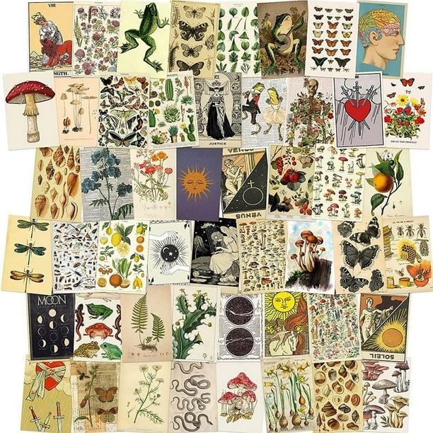 trendy wall collage kit 50pcs aesthetic room decor pictures vintage tarot posters mutocar indie photo cottagecore botanical illustration decorations teen girls room dorm trendy wall art 4x6 walmart com