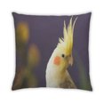 thumbnail image 2 of Ahgly Company Animals Parrot Coussin Intérieur, 18 Pouces par 18 Pouces, 2 of 6