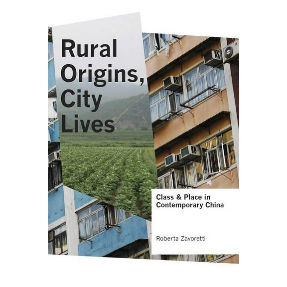 Rural Origins, City Lives: Class and Place in Contemporary China, (Hardcover)