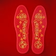thumbnail image 1 of Plantillas Feng Shui Hugo Siete Monedas Absorción del sudor Inserciones para zapatos 40, 1 of 10