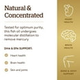 thumbnail image 5 of Solgar Omega-3 Fish Oil Concentrate 240 count soft gels, 5 of 6