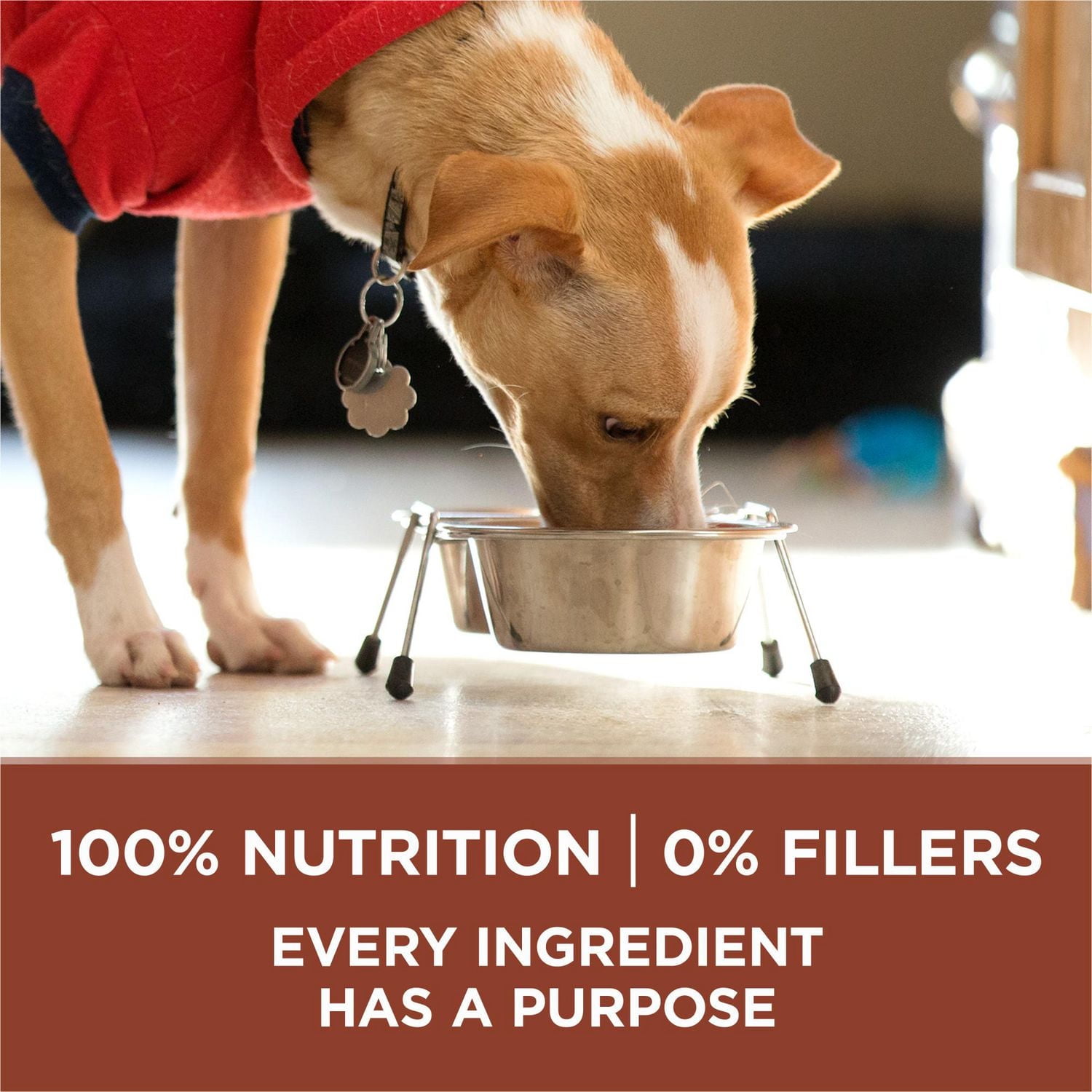 Purina ONE Healthy Weight Turkey, Dry Dog Food 7 kg, 7 kg