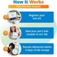 thumbnail image 6 of 5Strands Pet Food & Environmental Intolerance Test, at Home Sensitivity Test for Dogs & Cats, 857 Items Tested, Pet Health Check, Fast 5 Day Results, For All Ages and Breeds, 6 of 7