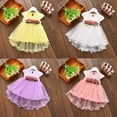 thumbnail image 4 of Toddler Infant Kids Baby Girls Tulle Tutu Dress Princess Party Dresses, 4 of 5