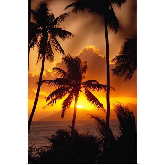 Great BIG Canvas | Rolled Joe Carini Poster Print entitled French Polynesia, Tahiti, Palm Trees Silhouetted By A Vibrant Sunset