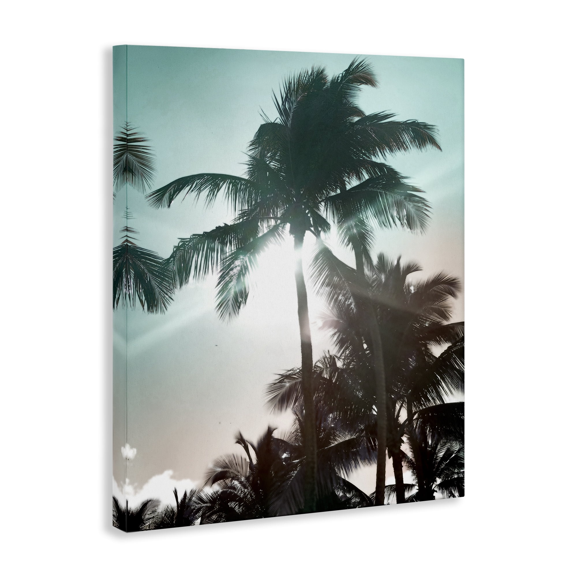 Stupell Industries Shady Palm Trees Coastal Photography Gallery Wrapped Canvas Art Print Wall Art, 30 x 40