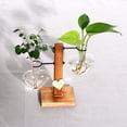 thumbnail image 4 of Terrario con Soporte de Madera, Jarrón de Cristal en; Florero de Maceta de Plantas con Soporte, 4 of 9