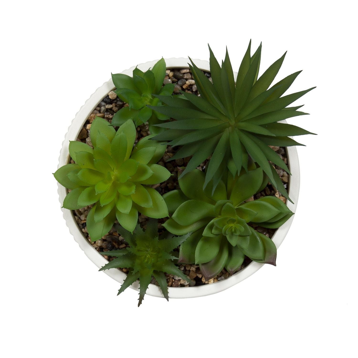 DesignOvation 6.25"H Tabletop Artificial Succulents in White Ribbed Pot, 7.13in W x 6.25in H x 7.13in D