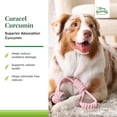 thumbnail image 3 of Terry Naturally Animal Health Curacel Curcumin - 375 mg., 60 Softgels - Curcumin for Dogs, 3 of 7
