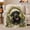 Flower Lab, variant on Scholarly Black Dog Library, Peaceful Pet Portrait Pattern, Warm Flannel Blanket for Living Room and Bedroom, Dog Lovers Just Because Gift, Pet Lover Home Decor