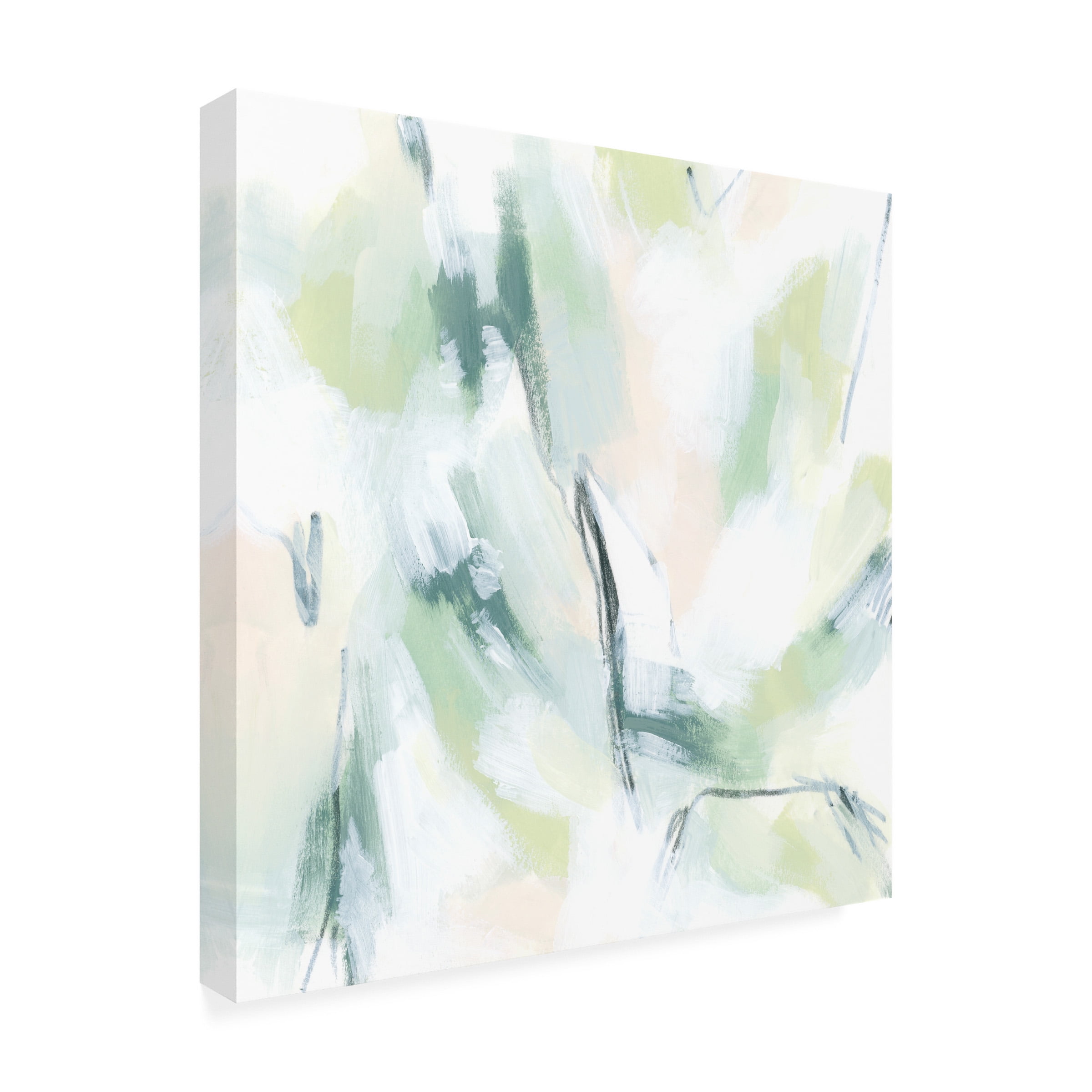 June Erica Vess 'Mint Fissure I' Canvas Art