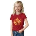 thumbnail image 2 of hengsof Basic Short Sleeve Graphic T-shirts for Toddlers and Children, 2 of 4