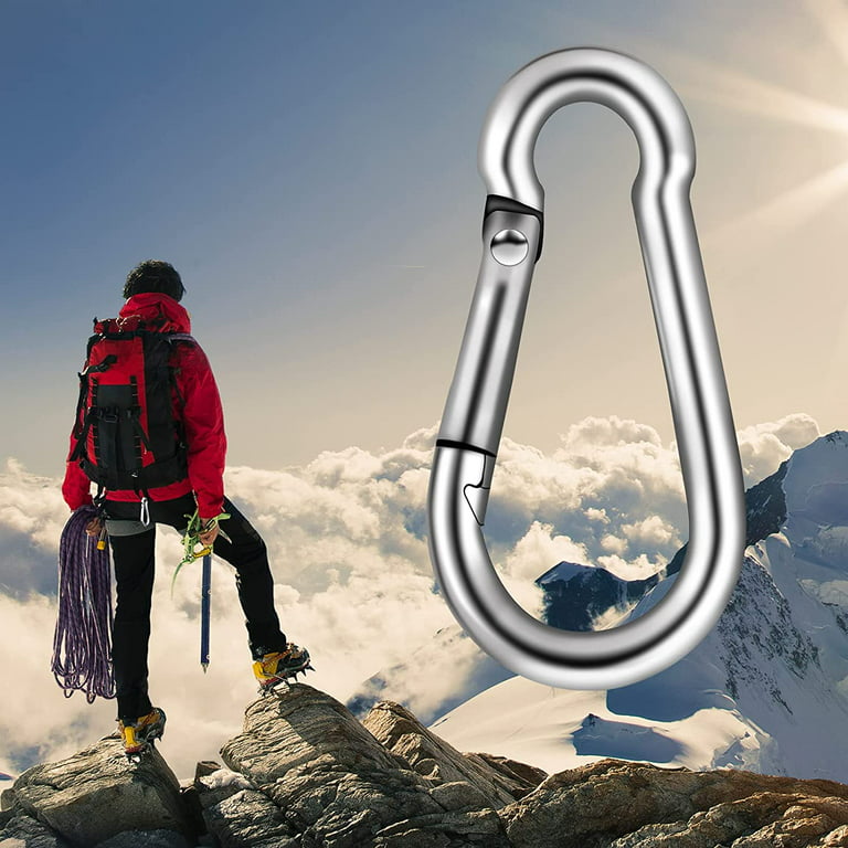 Carabiner-Heavy-Duty, 6 Pack 2.5\\u201d Small Carabiner-Clips with Strong  Spring-Stainless Steel Snap Hooks for Climbing Hiking Gym Keych?in and Dog  Leash and Harness 