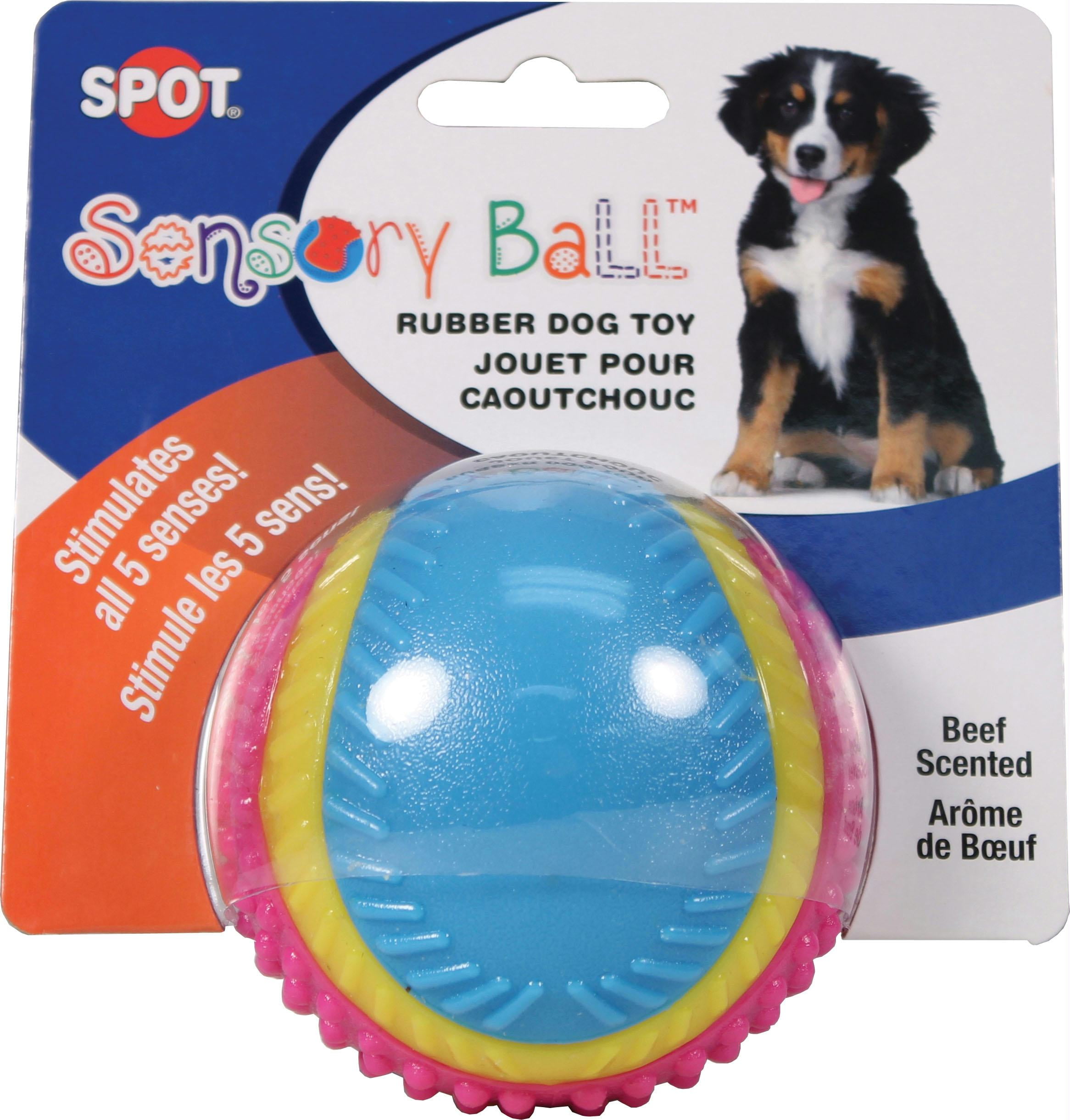 dog sensory ball