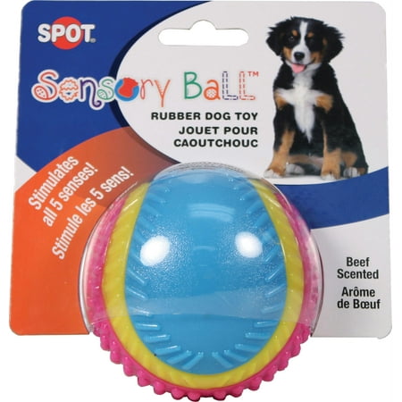Ethical Pet Spot Sensory Ball 3.25 inch | Colorful Rubber Squeaker Toy for