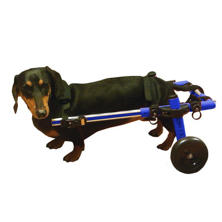 Dog Wheelchair For Small Dogs 8-25 lbs Blue - By Walkin'