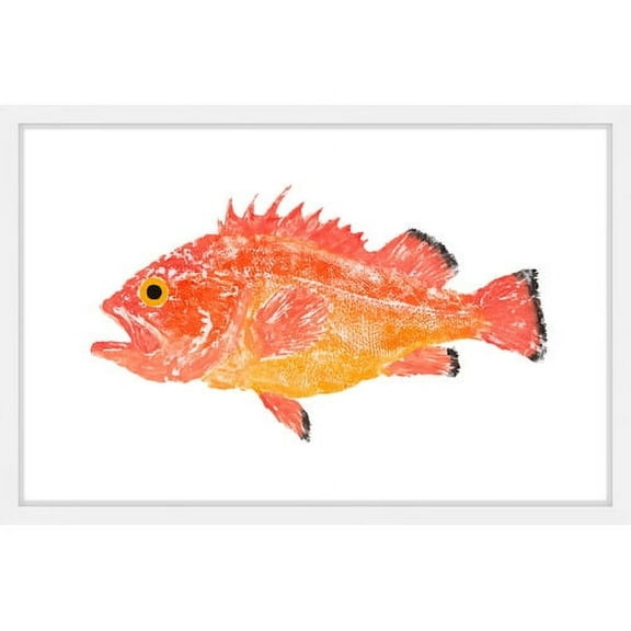 Marmont Hill "Orange Spiney Fish" by Michael Pantalos Framed Painting Print