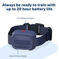 thumbnail image 4 of Collar de adiestramiento extra para perro PetSafe Core, resistente al agua, con LED, 4 of 8