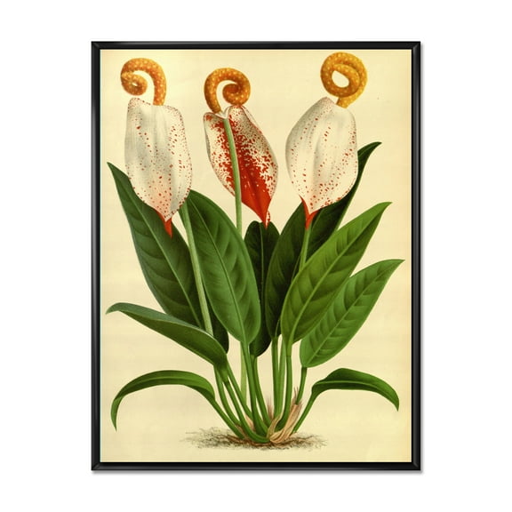 Designart 'Retro Wildflowers' Farmhouse Framed Canvas Wall Art Print