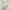 Ivory Grey Blue, variant on Nourison Serenity Home Vintage Ivory Mocha 5'3" x 7'3" Area Rug (5x7)