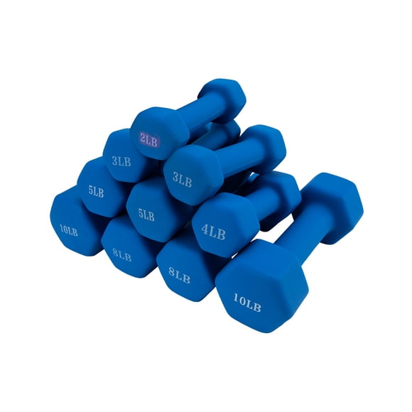 Dumbbell Hand Weights