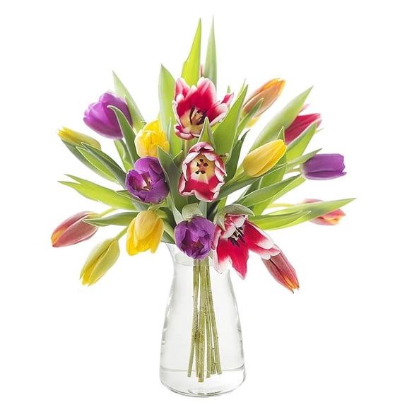 KaBloom : 5 Red, 5 Yellow, 5 White Tulips, 5 Tulips with Vase, Next-Day Delivery.