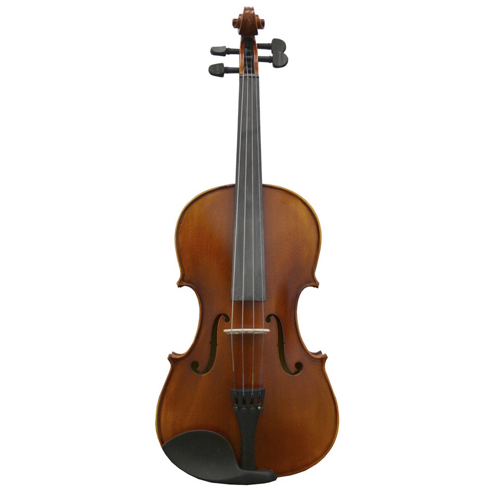 Directly Cheap FullSize Student Beginners Violin with Case and