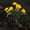 🔥 Yellow, variant on Msgweeeg Yard Decorations Outdoor Solar Camellia Garden Lights 7 Lifelike Camellia Buds Warm White LED Lights Waterproof Metal Flower Stakes Suitable for Meadow Terrace and Garden Lighting