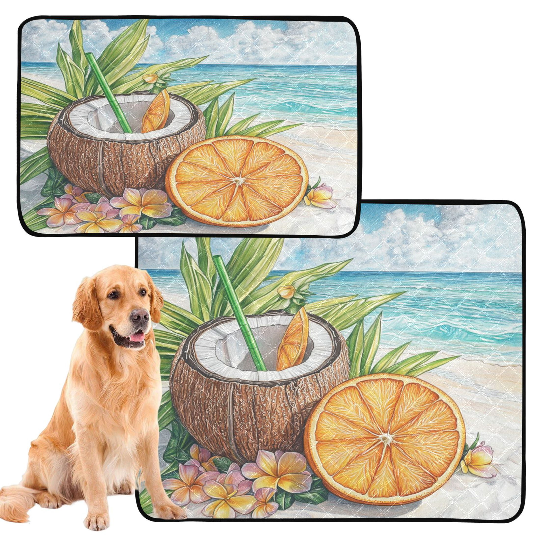 Qxltty Coconut Orange Slice Cat litter Pads Pet Set of 3 Diaper Mats Center Anti-leakage Layer Absorbent Soft and Comfortable