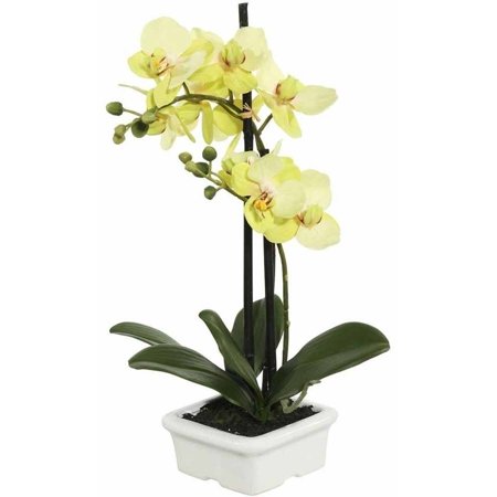 Silk Green Cymbidium Orchids Vickerman 15.5