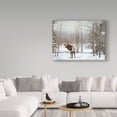 thumbnail image 3 of Trademark Fine Art 'Valley Of The Utes' Canvas Art by Carol J Rupp, 3 of 3