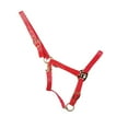 thumbnail image 2 of HYCONIC Collier de Cheval, 2 of 2