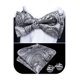 thumbnail image 1 of Set de pajarita Barry.Wang, seda de cachemir gris, 12 x 6 cm, 1 of 6